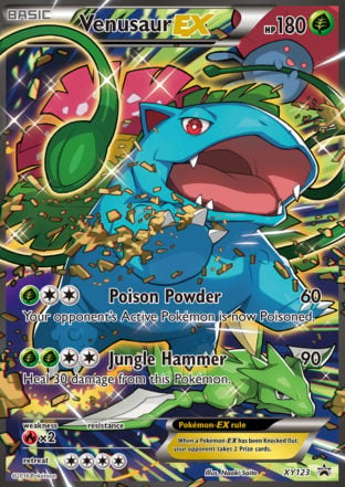 ポケモンカード eカード デンリュウ 1ed ホロ pokemon_xyp_xy123_en.jpg