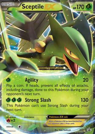 Groudon (52/211) | Pokémon | MYP Cards