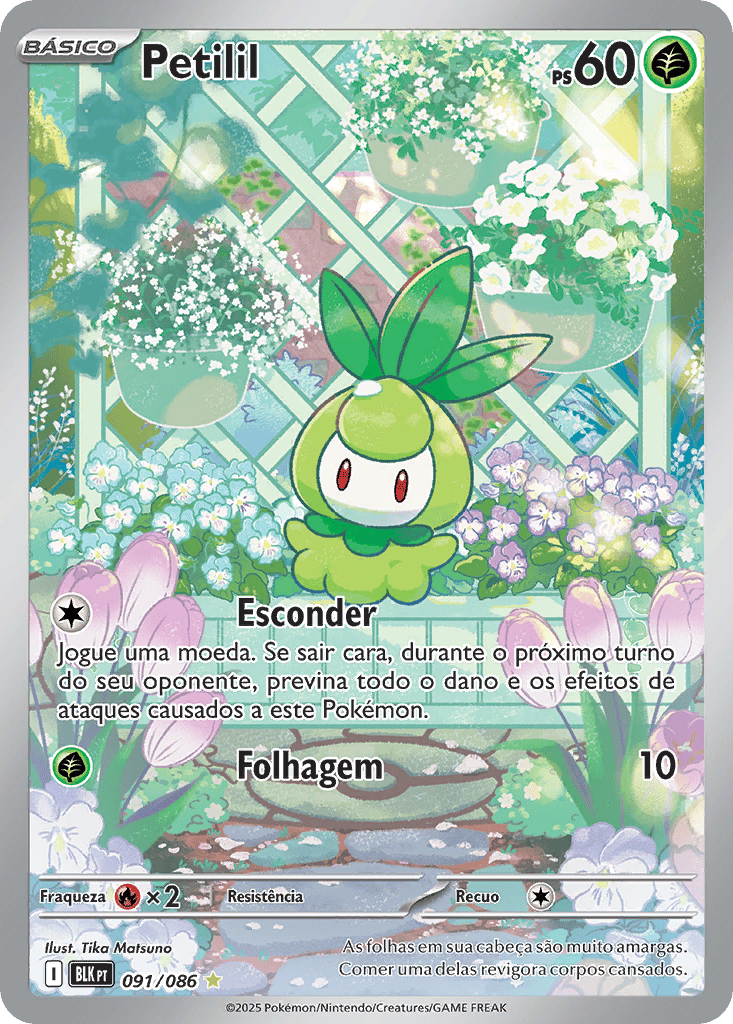 pokemon_blk_091_086_pt.jpg