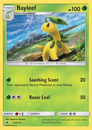 ポケモンカード ベイリーフ トレーナーズ eカード 007/T Bayleef Bayleef (007/214) | Pokémon | MYP Cards