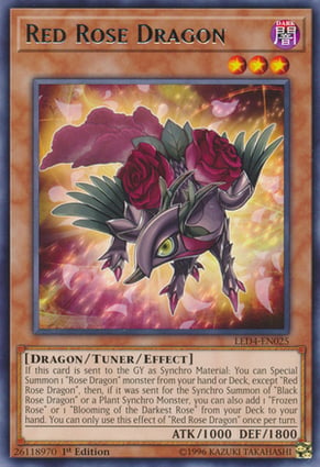 yugioh black rose dragon deck My Black Rose Dragon Yugioh Deck Profile for Post Legendary 5D's Decks