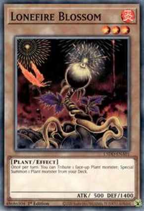 yugioh black rose dragon deck Rose-Born Dragons Featuring the various "rose dragons". Crossrose looks like a hybrid of different subspecies, while White Rose Dragon even appears to have little hooves up Attack Position Rose Dragon Deck Breakdown |