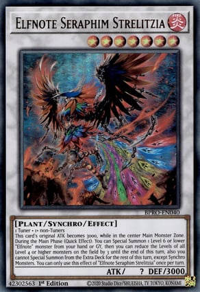 Ecclesia e o Dragão Negro / Ecclesia and the Dark Dragon | Yu-Gi