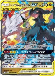 Reshiram & Zekrom GX (064/049) | Pokémon | MYP Cards