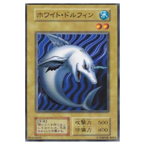 White Dolphin - B2-92409659 - Nova