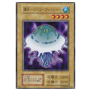 Jellyfish - B7-14851496 - Nova
