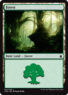 Floresta (#314)