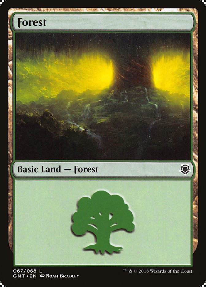 Floresta (#067)