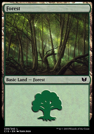 Floresta (#339)