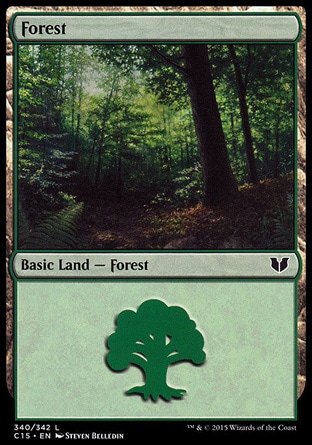 Floresta (#340)