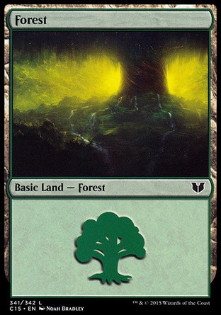 Floresta (#341)