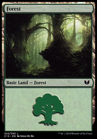 Floresta (#342)