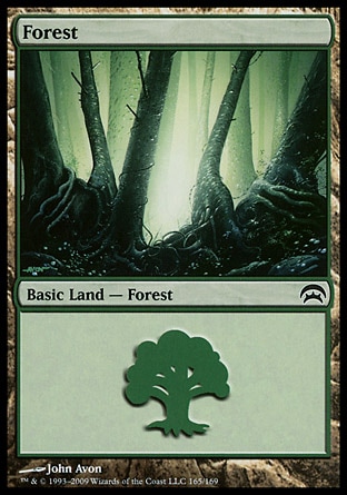 Floresta (#165)