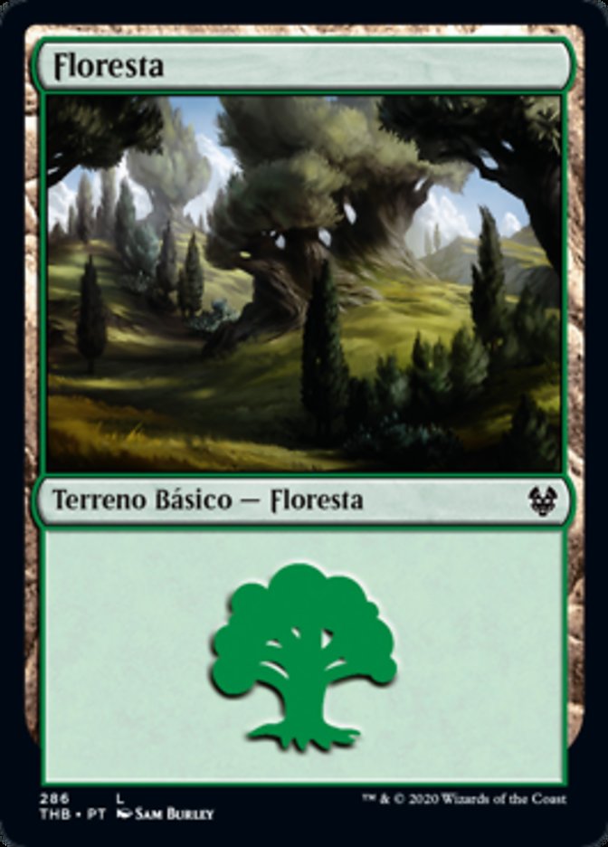 Floresta (#286)