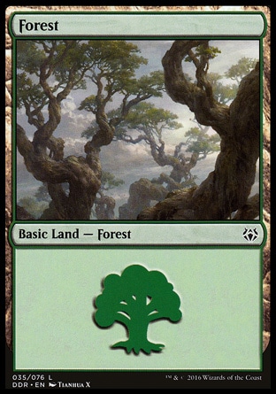 Floresta (#035)