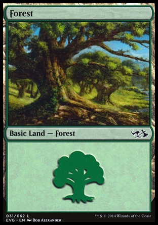 Floresta (#031)