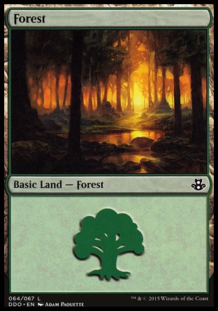 Floresta (#064)