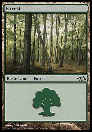 Floresta (#029)