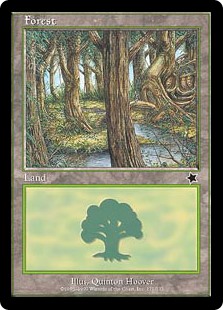 Floresta (#173)
