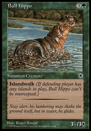 Hipopótamo Macho