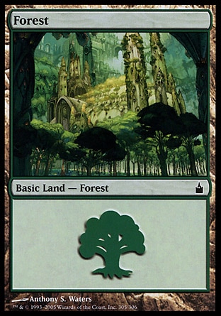 Floresta (#305)
