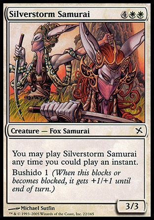 Samurai da Tempestade de Prata