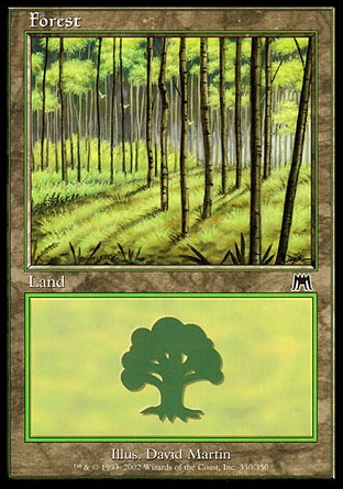 Floresta (#350)