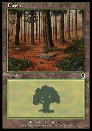 Floresta (#347)