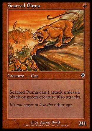 Puma da Cicatriz