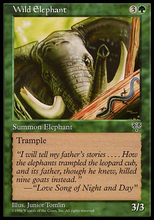 Elefante Selvagem