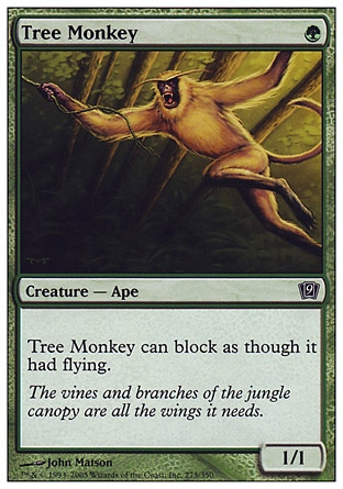 Macaco Arbóreo