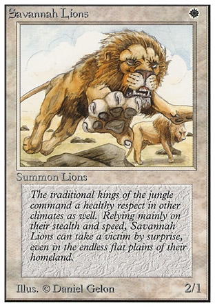 Leões da Savana