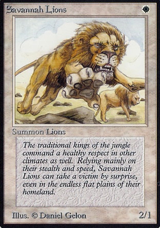 Leões da Savana