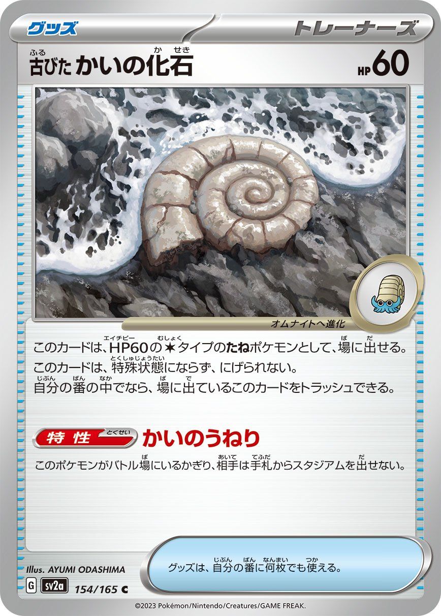 Ancient Helix Fossil