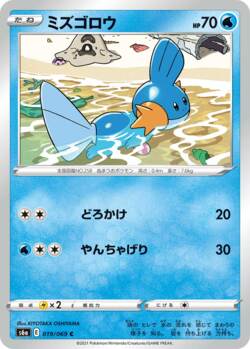 Mudkip (062/264) | Pokémon | MYP Cards