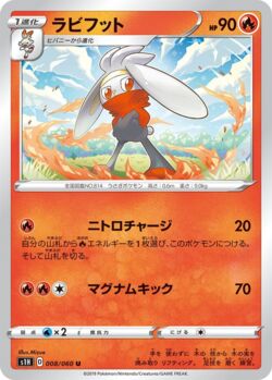 Raboot (032/202) | Pokémon | MYP Cards