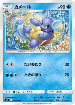 Wartortle (075/132) | Pokémon | MYP Cards