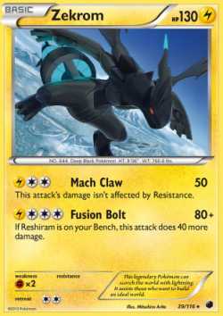 Zekrom (021/025) | Pokémon | MYP Cards