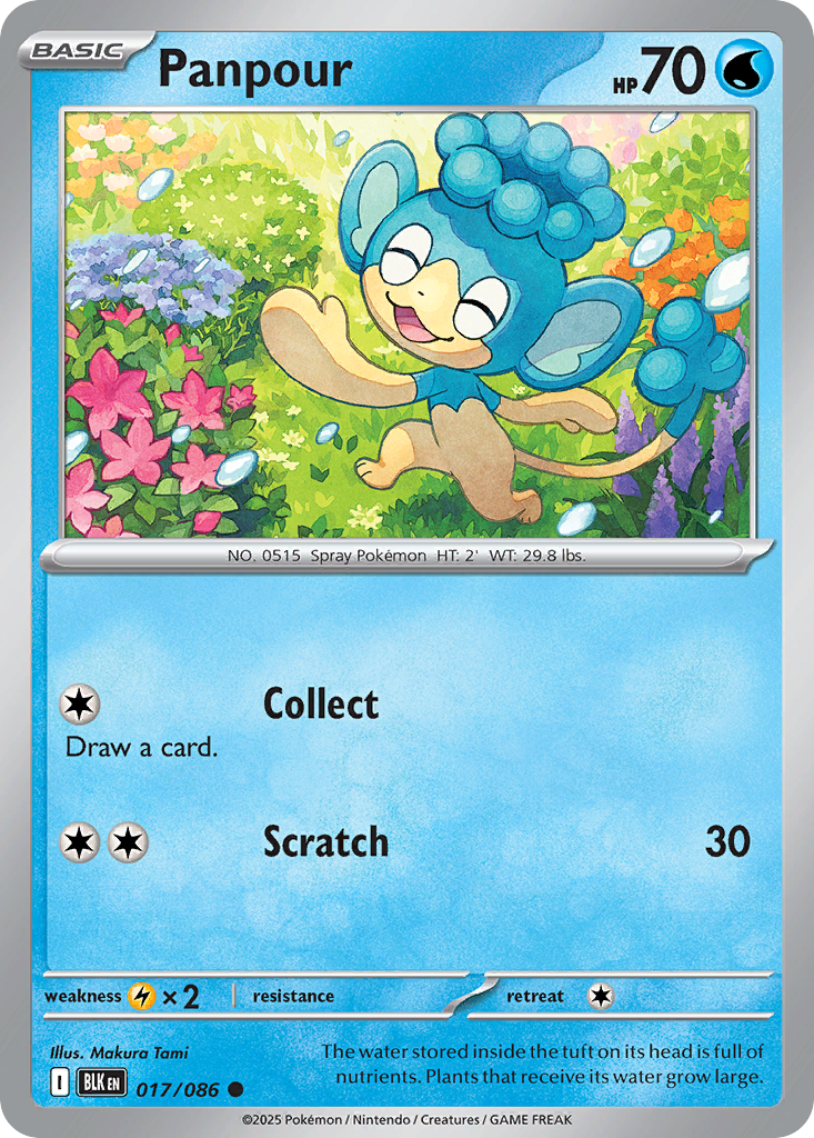 Panpour (017/086) | Pokémon | MYP Cards