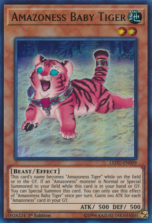 Bebê Tigre Amazoness