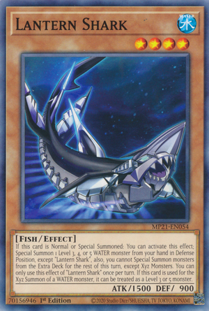 Tubarão Lanterna
