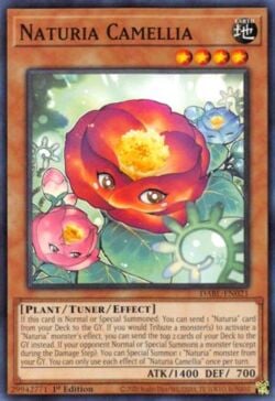 Amatsu-Okami of the Divine Peaks - Extra Secret Rare - EP19-KR070