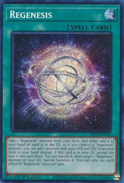 Yu-Gi-Oh! | MYP Cards