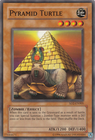 Tartaruga Pirâmide