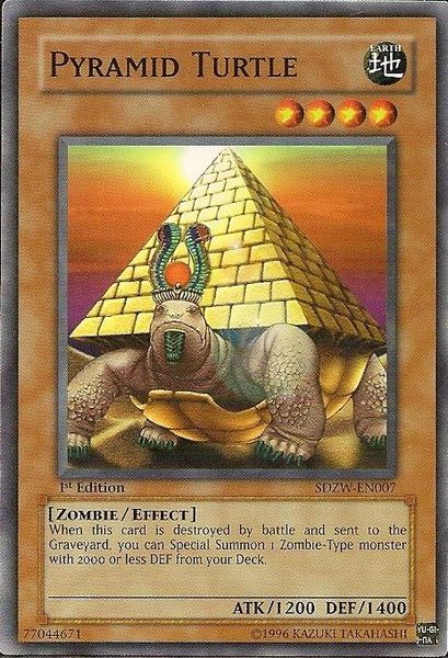 Tartaruga Pirâmide