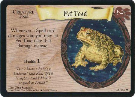 Pet Toad