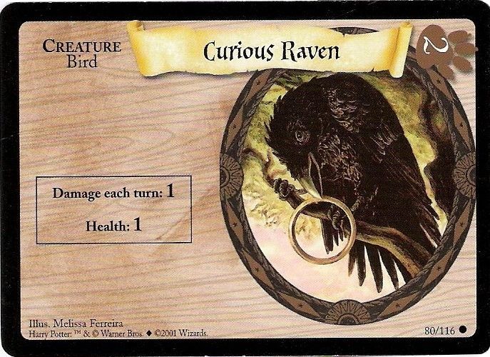 Curious Raven