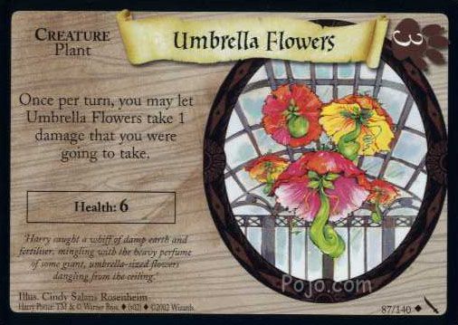 Umbrella Flowers