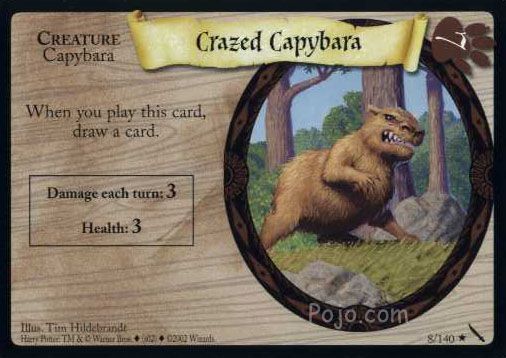 Crazed Capybara