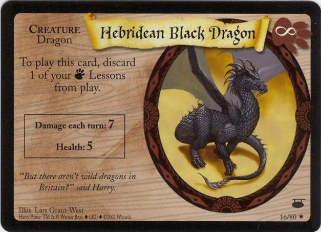 Hebridean Black Dragon